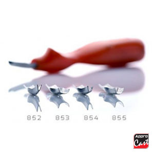 gouge et lames anatomiques