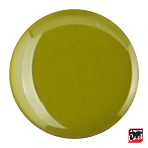 Opaque Vert Anis C811 A FROID