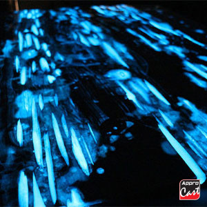 Résine époxy Phosphorescent