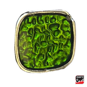 Transparent Vert Olive T442 A FROID